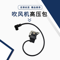 Gasoline hair dryer snow blower high pressure package accessories 650 EB850 fire extinguisher blowing dust ignition coil magneto motor