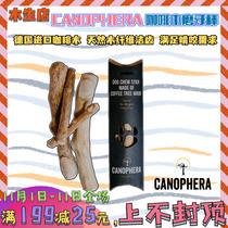 German CANOPHERA coffee Wood dog toys resistant to biting molars decompressed into puppies