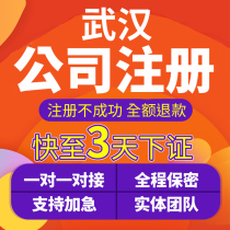 Wuhan company registered for business license industrial and commercial change cancellation agent bookkeeping tax filing agency company cancellation
