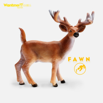 Wantmoin play model children solid simulation animal model toy animal set big white-tailed deer fawn