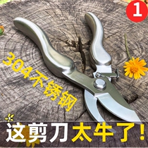 Import Cut Twigs Special Scissors Prunes Prunes 304 Stainless Steel Gardening Flowers And Grass Grape Fruit Trees Pluso Plant Cut