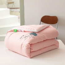 Spring and autumn quilt quilt quilt core winter thickened warm double quilt single cover quilt