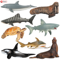 Simulation marine animal model shark dolphin turtle walrus sea lion tiger shark solid toy child birthday gift