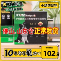 Dog Heart Bonded Beef Block Midsize Dog In the body Insect Repellent Drug Repo Drug Parasite 6 Grain Boxes