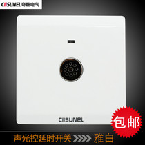 Qisheng wall corridor sound and light control delay switch socket Incandescent LED sensor switch panel