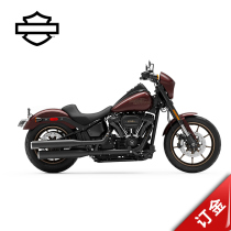 2021 LOW RIDER S road Wai custom Harley Davidson motorcycle (New Car deposit)