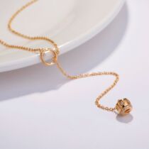 HeyJewel AHAZIA silver gold-plated crown adjustable Y-shaped necklace everyday simple spot