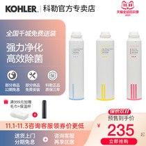 Kohler water purifier KP050 filter element KP040 direct water dispenser consumables 80031T activated carbon accessories 80041T