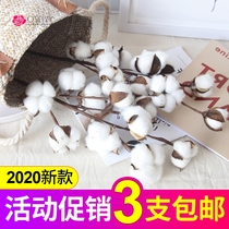 10 Xinjiang cotton dried flower bouquet desktop decorative ornaments real flower ins simulation kapok flower arrangement hipster