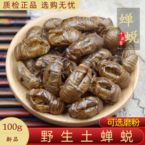 Chinese herbal medicine 100 grams of cicada powder Cicada Retreat Golden Cicada Shell known skin bulk non-500 grams of Wild