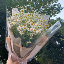 Net red chamomile Platycodon grandiflorum flower bouquet Wuhan Flowers Express Shanghai Suzhou city to send flowers birthday flowers
