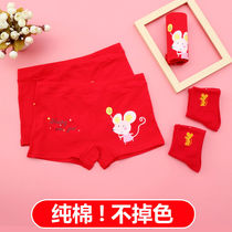 This years little girl red underwear girl cotton underwear 12-year-old childrens year of the rat boxer pants head socks 13