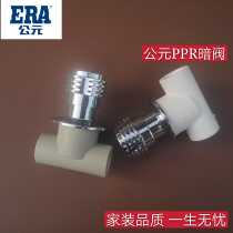 ERA AD PPR Cold and Hot Water Pipe 20 25 Dark Valve Switch 4 points 6 points hot melting valve Total Valve