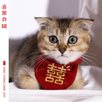 Joy Park Cat Cat is also married today Pet Cat Dog Mouth Water Towels with a scarf Scarf Scarf-Scarf Scarf