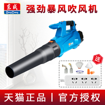 Dongcheng industrial-grade hair dryer Q1F-FF-120 high-power strong dust removal cleaning dust blowing ash snow Dongcheng storm wind machine