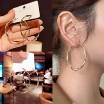 Exaggerated personality big earrings Europe and America 2021 New Tide fashion foreign style metal summer suitable for round face female temperament