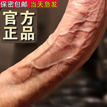 Shaking bar Women specialize in household goods Girls self-solver crescendo Heating can be inserted into the megatreaper kp