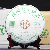 (7 cakes) Fuhai Tea Factory 2019 7536 Green Cake Puer Raw Tea Mark No. 7536