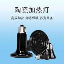 Ceramic lamp heating tortoise lizard Spider reptile incubator pet snake hedgehog feeding box reptile heating lamp