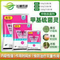 Lan Fengliang Ma 70% Thiocendyl Methyleneto Plant Bituminous Coal Black rot Brown Spot Pesticide Fungicide 100g