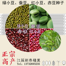 Bulk red bean seeds Red bean Red bean Rice bean Soy bean seeds Soy bean Mung bean Green bean Broad bean seeds