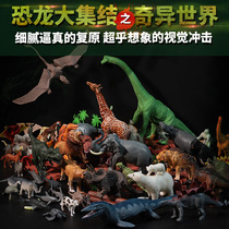 Childrens simulation dinosaur Zoo T-rex tiger Lion plastic model toy boy child 2-4-6 years old 3