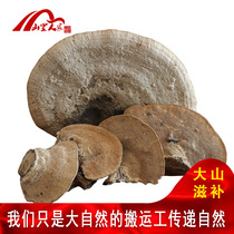 Mountain people buy 2 get 1 free Changbai Mountain wild Oriental plug fungus gray plug fungus 250 grams of Eastern Yunzhi ganoderma lucidum