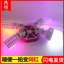 Velociraptor with the same fill light LED color pink purple blue green yellow snail mouth atmosphere warm light pork shop corn bubble