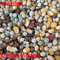 Race power pigeon grain belt corn C nutrition grain flying universal basic feed pigeon meat pigeon grain 50kg