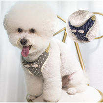 Dog Traction Rope Small dog bib Bear Dog Rope Traction Rope Kitty Chest Strap Pet Supplies Special Price
