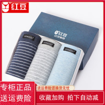 Red Bean Home Special Cabinet Mens Underwear Mens Pure Cotton College Students Four-corner Pants Teen Youth Hair Development Period Pant Pants