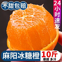 Hunan Asayang Ice Icing Sugar Orange 10 Catty Orange Fresh Super Sweet When Season Fruit Jelly Sweet Orange Whole Box Should Be Peeled By Season Hand Peel Orange