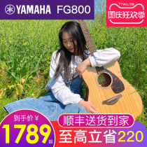 Yamaha guitar beginner board folk guitar boys special girl FG800 FSX800C Wood electric box