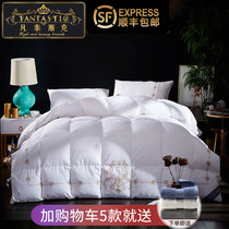 Warm down quilt core velvet 95% white goose suede 100 cotton quilt embroidery thickened three-dimensional winter quilt