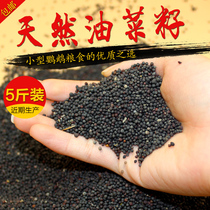 Rapeseed peony Budgerigar bird food Hibiscus bird Jade bird food 5 pounds winter supplement energy