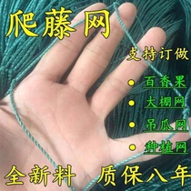 Climbing Vine Net Plus Coarse Melon Fruits Vegetables Cultivation Climbing Vine Web Flowers Vine Climbing Assistance Nets Gardening Agricultural Nets Perfus Perfus Perfus Perfus Perfus