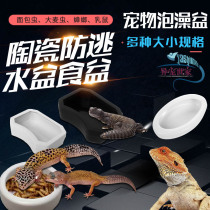 Reptilian eating basin Waterbasin Tortoise Hedgehog Gonggong Lizard Cricket Dubiya Anti-Flip Escape