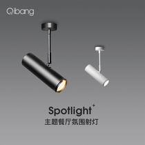 长杆小射灯led轨道灯北欧家用服装店射灯明装吸顶式cob导轨灯单灯