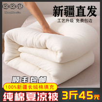 Xinjiang long-staple quilt Cotton wool quilt core thickened warm cotton quilt pad quilt student mattress Cotton winter quilt