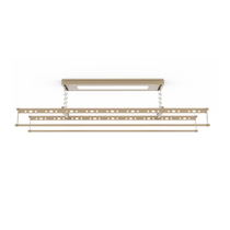 Sunshine Lighting Intelligent Lifting Multifunctional Clothes Rack Online and Offline Same Quality and Same Price