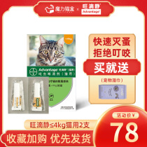 Germany Bayer in vitro anthelmintic drops Wang static kittens pet special indoor cat prevention 2 fleas