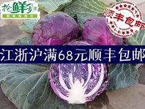 Fresh vegetables Purple cabbage Purple cabbage vegetable salad about(600g)Jiangsu Zhejiang and Shanghai 5 pieces