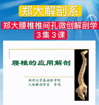 Zheng Great Lumbar Spinal Canal Minimally Invasive Anatomy Video 3 Episode 3 Lesson