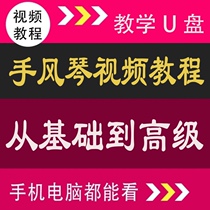 Beginner self-study accordion playing Instrument teaching Beginner zero-based entry Beginner to master U disk