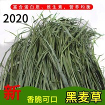 Warm shed ryegrass Hay chinchop Dutch pig drying pasture rabbit guinea pig aluminum foil vacuum bag 250g