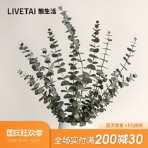 Life ins everlasting flowers eucalyptus leaf branches air-dried real flowers bouquet living room art ornaments decoration