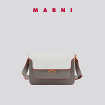 Marni Classic Trunk Mini Women's Shoulder Crossbody Accordion Bag in Patchwork Calf Leather