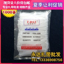  3*120mm self-locking nylon cable tie plastic small cable tie fixed sealing buckle tied cable tie white black