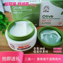 Gaffy cat baby nutrition special moisturizing cream 50 gr Olive baby care cream Skin Cream Moisturizing Face Cream