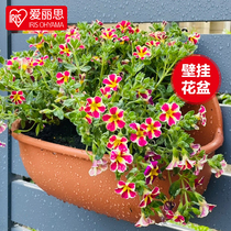 Love Lithhanging Land Wall-mounted Flowerpots Creative Imitation Pottery Flower Pots Wall-mounted Wall Thickened Plastic Flower Pots Alice